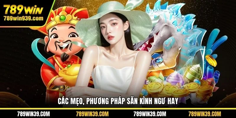 Các mẹo, phương pháp săn kình ngư hay