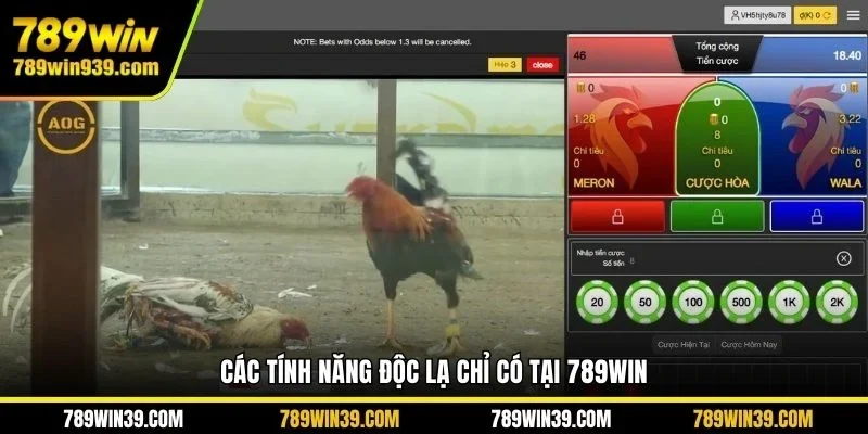 Các tính năng độc lạ chỉ có tại 789win
