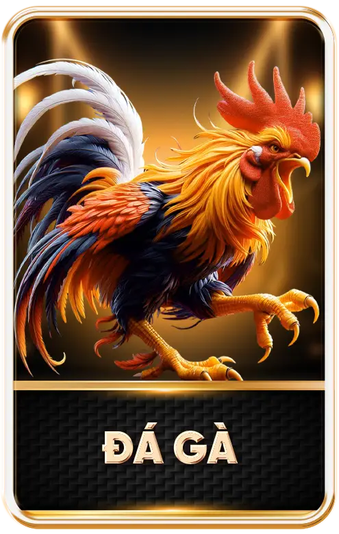 ĐÁ gà 789win939