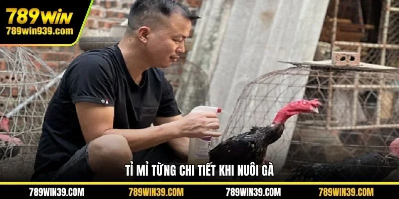 Tỉ mỉ từng chi tiết khi nuôi gà